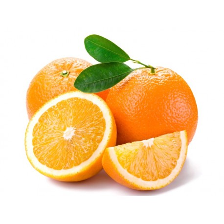 ARANCIA 橙子